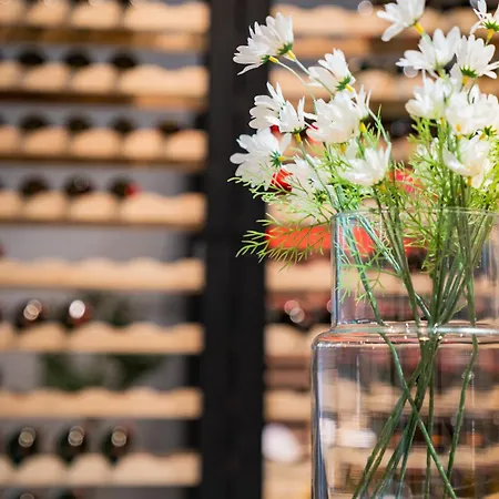 アパート Design Loft - Sauna - Zentral - Parkplatz - Wifi - Kaffee - Netflix