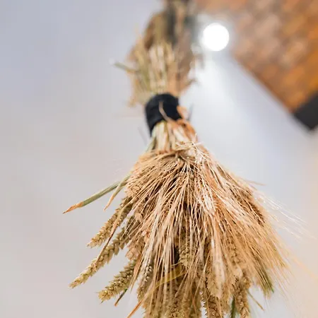 アパート Design Loft - Sauna - Zentral - Parkplatz - Wifi - Kaffee - Netflix