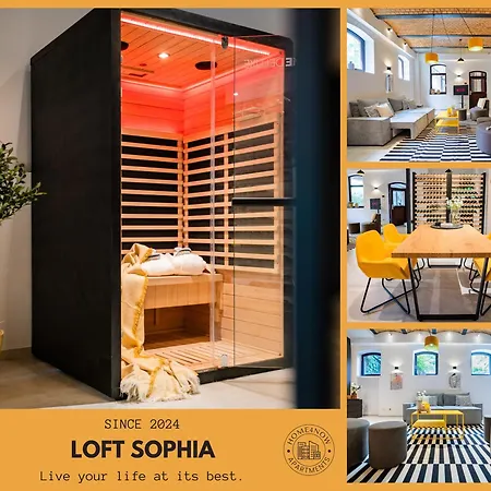 Apartment Luxurioeses 100m2 Loft Mit Sauna & Parkplatz - Platz Fuer 4 Personen *