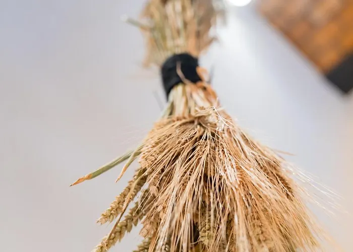 Apartament Design Loft - Sauna - Zentral - Parkplatz - Wifi - Kaffee - Netflix